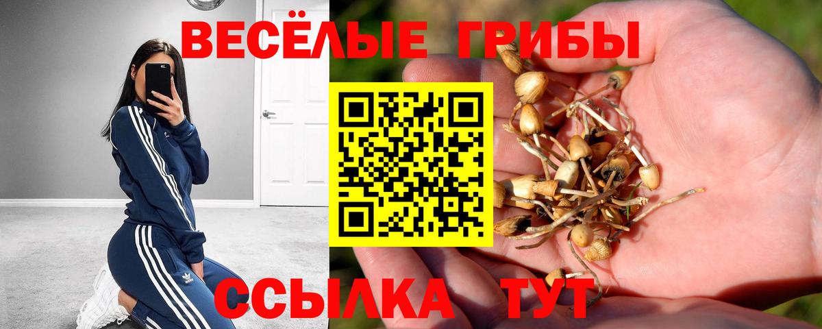 Галлюциногенные грибы Psilocybe  Вход с VPN  купить закладку  Салават 